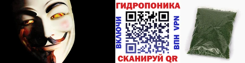 Виды наркоты Петровск-Забайкальский A PVP  Cocaine  OMG ONION  МАРИХУАНА  Мефедрон 