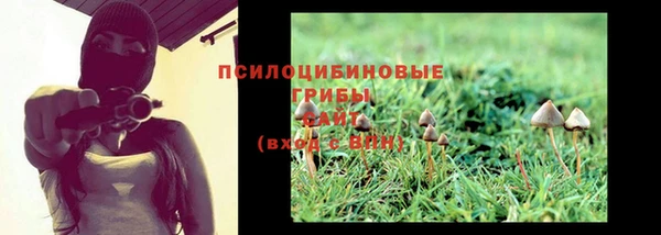 бошки Алексеевка