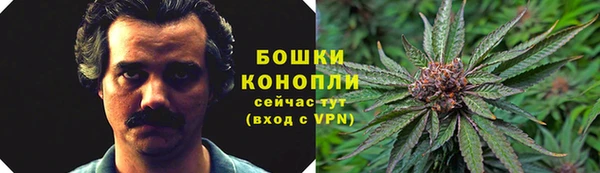 бошки Алексеевка