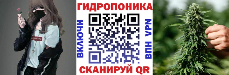 Шишки марихуана план Петровск-Забайкальский